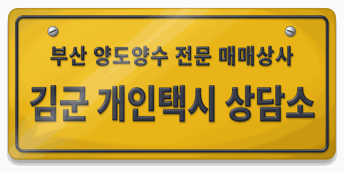 노란 영업용 번호판에 새긴 '부산 양도양수 전문 매매상사 김군 개인택시 상담소'